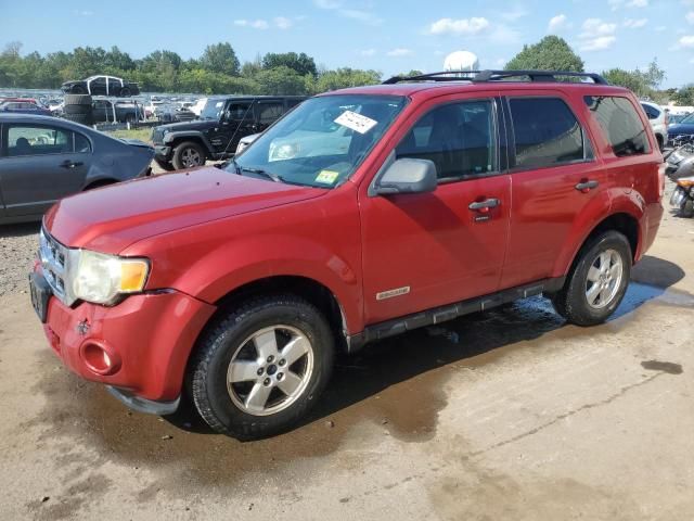 2010 Ford Escape XLT