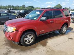 Ford salvage cars for sale: 2010 Ford Escape XLT