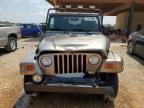 2004 Jeep Wrangler / TJ Sahara