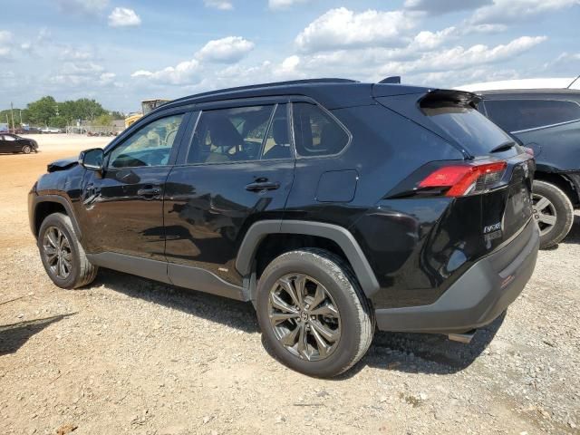 2023 Toyota Rav4 XLE Premium