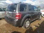 2010 Ford Escape Limited