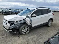 Ford salvage cars for sale: 2019 Ford Escape SEL