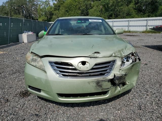 2009 Toyota Camry Hybrid