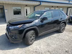 Toyota rav4 xle Premium Vehiculos salvage en venta: 2024 Toyota Rav4 XLE Premium