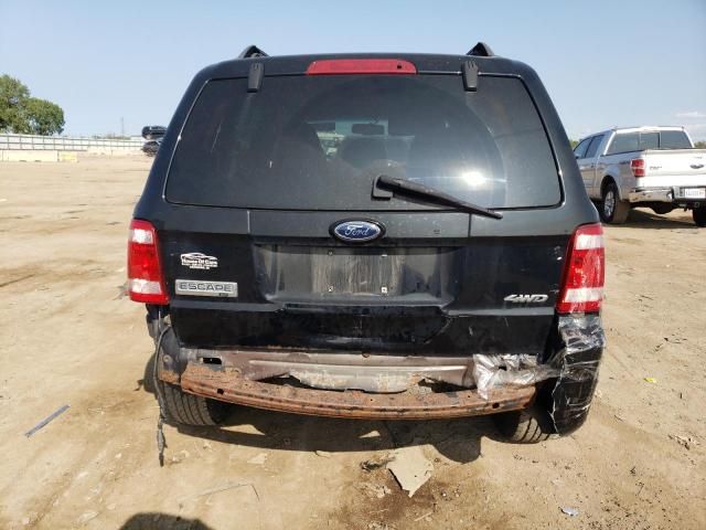 2008 Ford Escape XLT