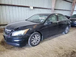 Honda Accord salvage cars for sale: 2011 Honda Accord EXL