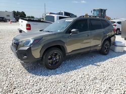 Salvage cars for sale at Taylor, TX auction: 2023 Subaru Forester Wilderness