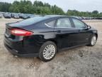 2016 Ford Fusion S Hybrid