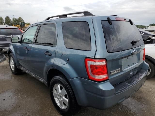 2010 Ford Escape XLT