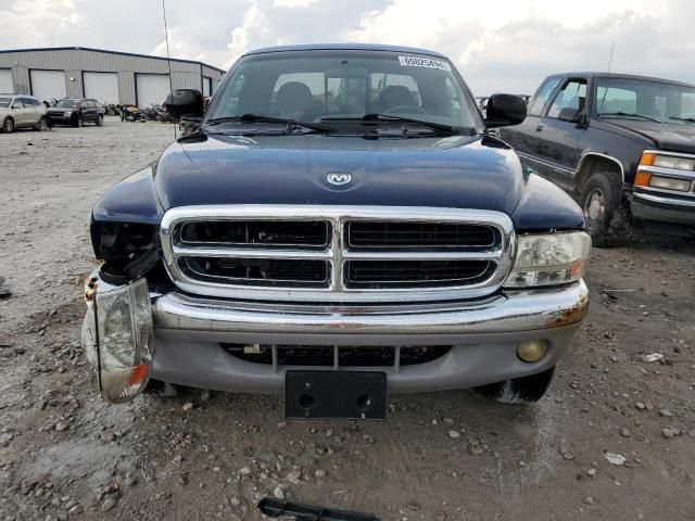 2000 Dodge Dakota