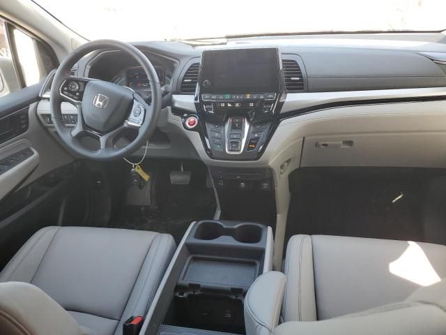 2024 Honda Odyssey Touring