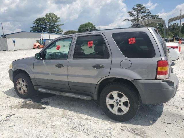 2007 Ford Escape XLT