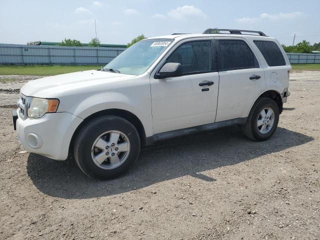 2010 Ford Escape XLT