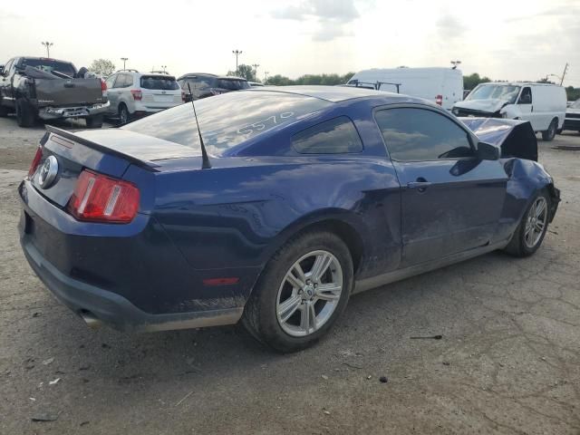 2010 Ford Mustang