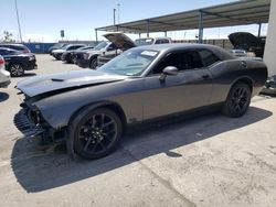 Salvage cars for sale from Copart Anthony, TX: 2019 Dodge Challenger SXT