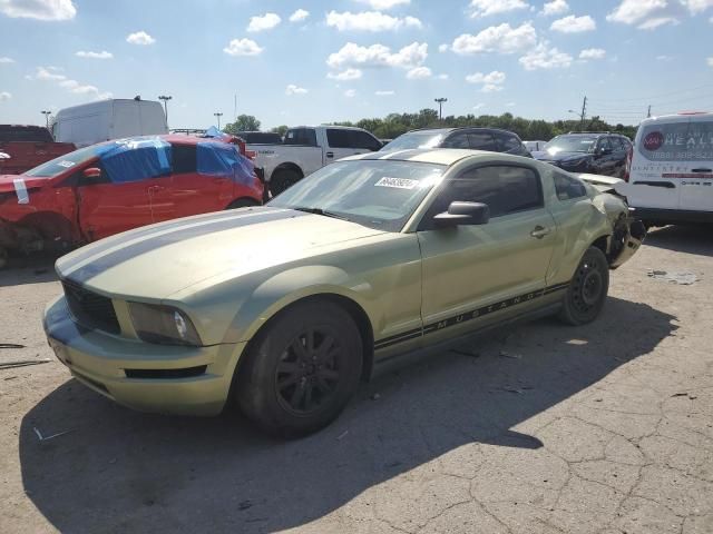 2005 Ford Mustang