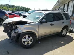 Salvage cars for sale at Louisville, KY auction: 2011 Ford Escape XLT