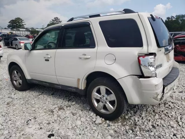 2010 Ford Escape Limited