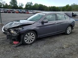 Salvage cars for sale at Grantville, PA auction: 2014 Honda Accord EXL