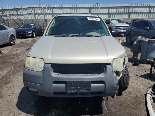 2004 Ford Escape XLT