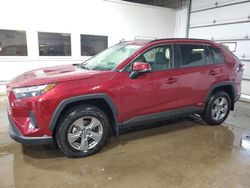 Salvage cars for sale at Blaine, MN auction: 2024 Toyota Rav4 XLE