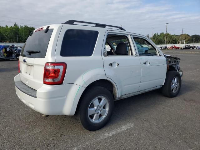 2010 Ford Escape XLT