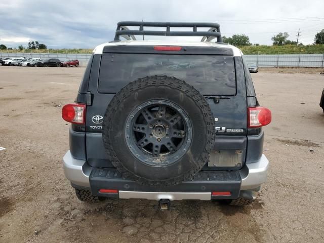 2008 Toyota FJ Cruiser