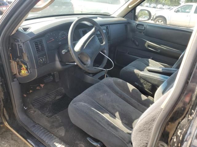 2004 Dodge Dakota SXT