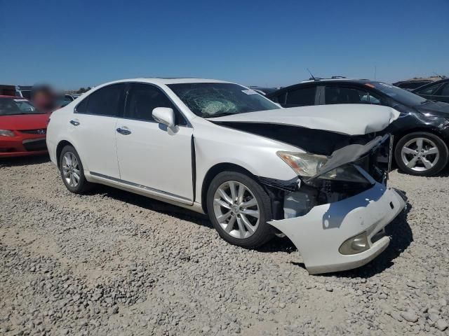 2010 Lexus ES 350