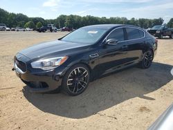 Salvage cars for sale at Conway, AR auction: 2015 KIA K900