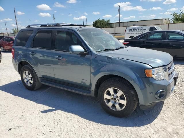 2011 Ford Escape Limited