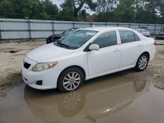 2009 Toyota Corolla Base