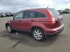 2007 Honda CR-V EXL