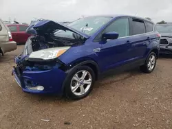 Salvage cars for sale at Elgin, IL auction: 2013 Ford Escape SE