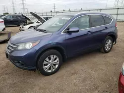 Salvage cars for sale at Elgin, IL auction: 2014 Honda CR-V EXL