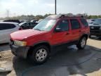 2002 Ford Escape XLT