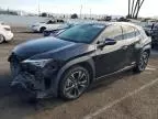 2020 Lexus UX 250H