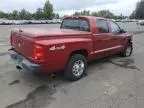 2007 Dodge Dakota Quattro