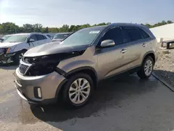 Salvage cars for sale at Louisville, KY auction: 2015 KIA Sorento EX