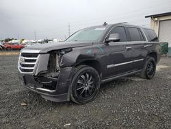 Salvage cars for sale at Eugene, OR auction: 2016 Cadillac Escalade Premium