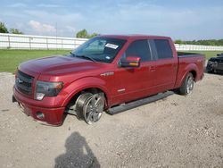 Ford salvage cars for sale: 2013 Ford F150 Supercrew