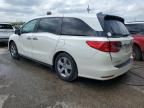 2019 Honda Odyssey EXL