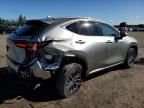 2023 Lexus NX 250