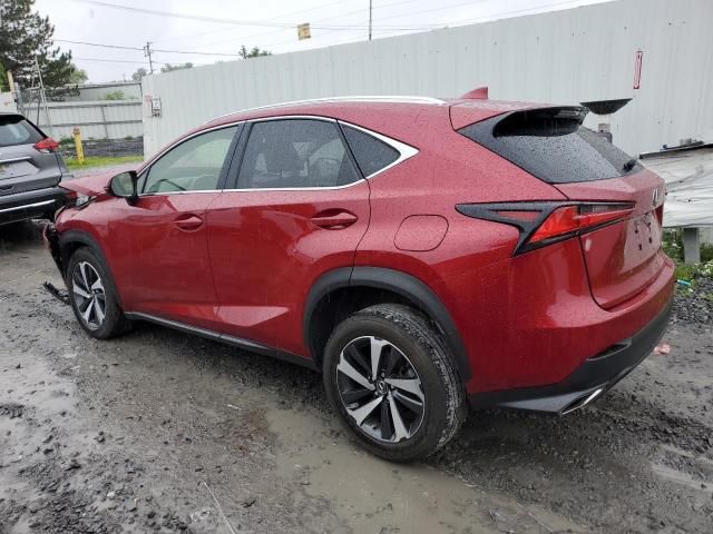 2020 Lexus NX 300