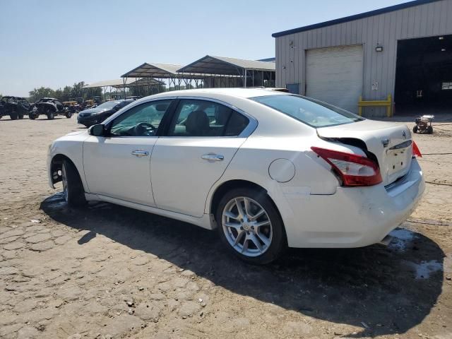 2009 Nissan Maxima S