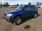 2007 Ford Escape XLT