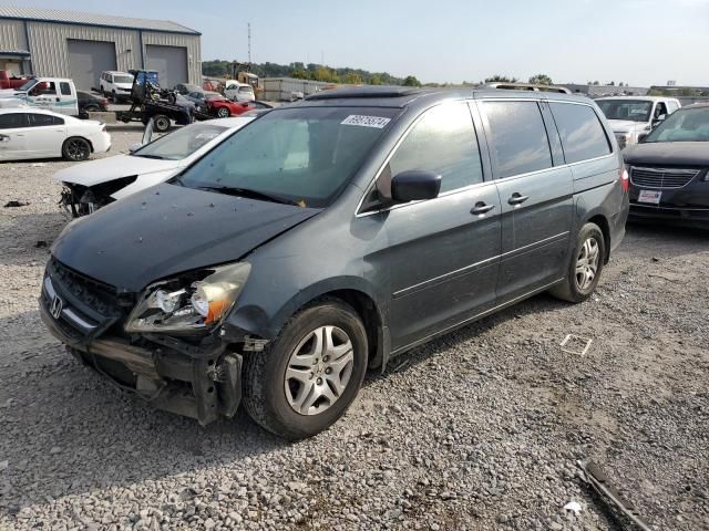 2005 Honda Odyssey EXL