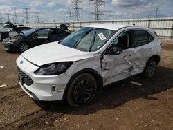 Salvage cars for sale at Elgin, IL auction: 2022 Ford Escape SEL