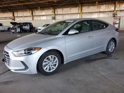 Salvage cars for sale at Phoenix, AZ auction: 2017 Hyundai Elantra SE