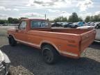 1973 Ford F-250